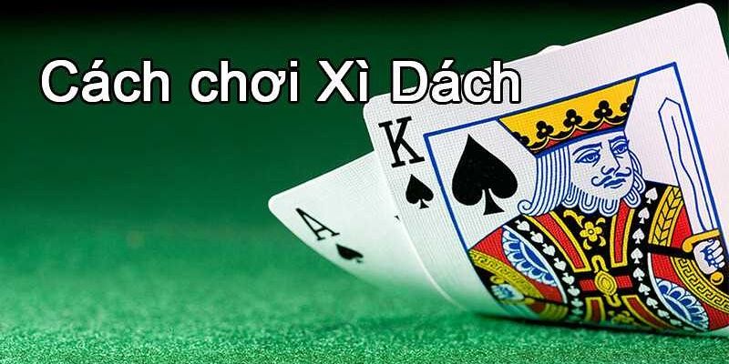 Tìm hiểu về trò chơi được ưa thích nhất trong các game bài